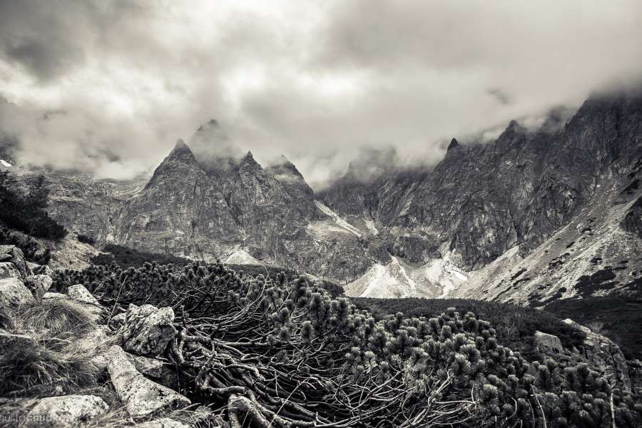 Tatry