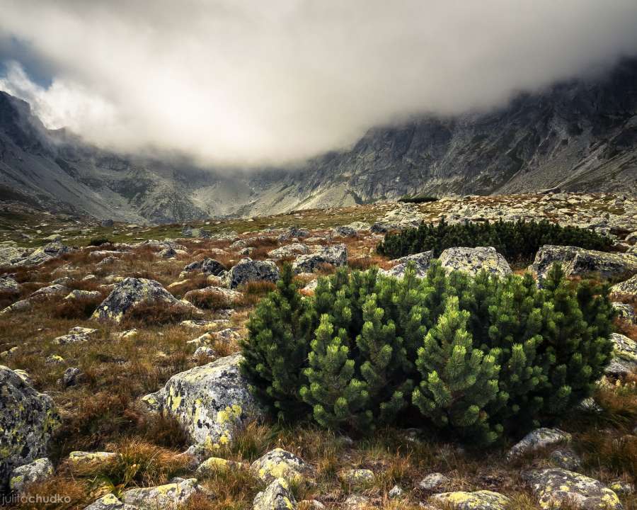 Tatry