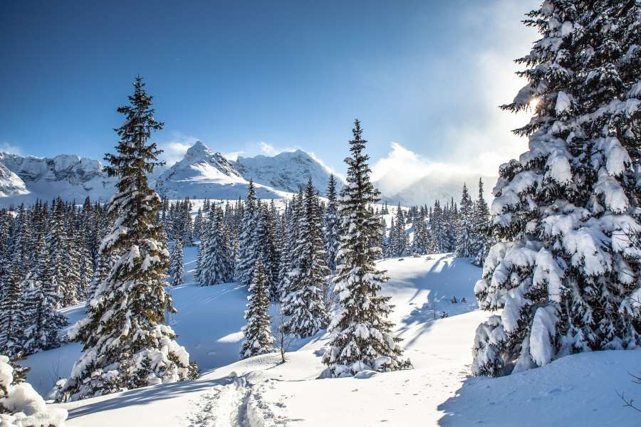 Tatry