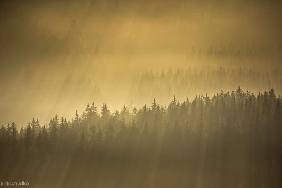 Tatry