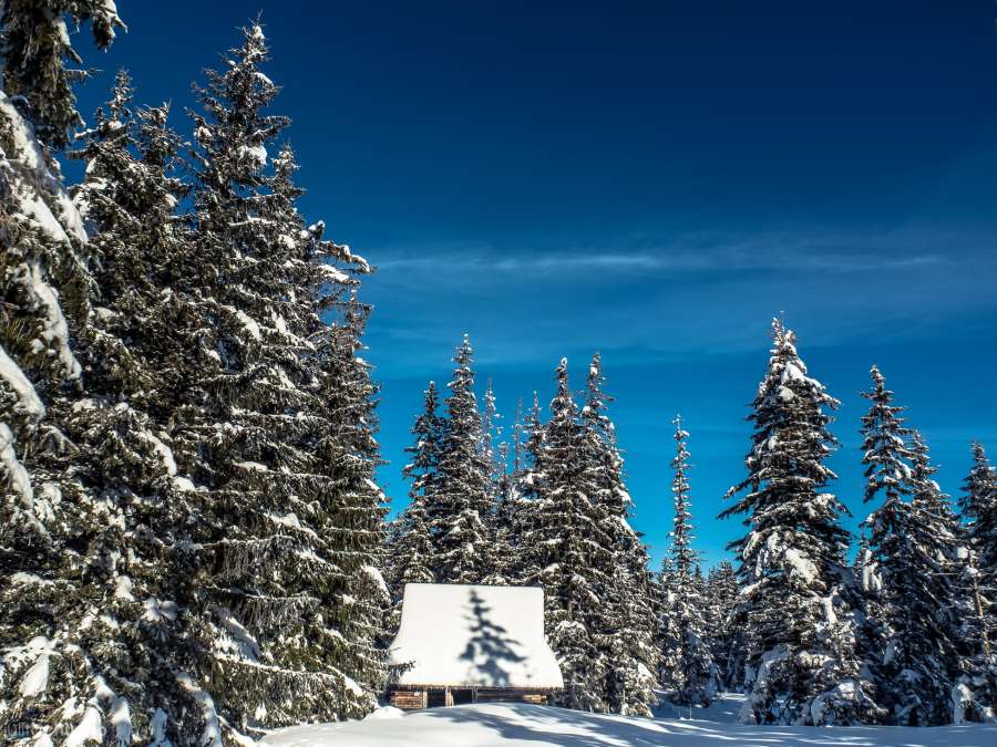 Tatry