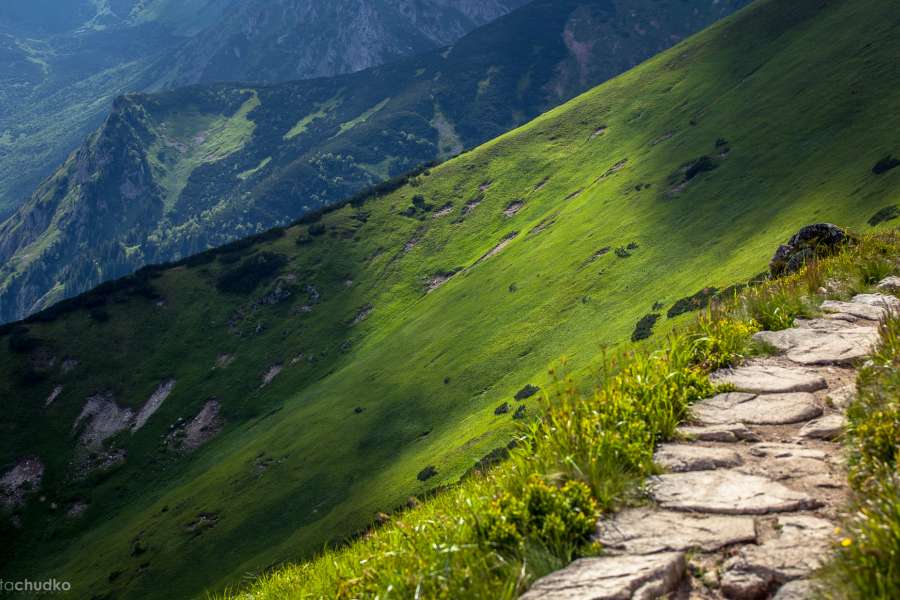 Tatry