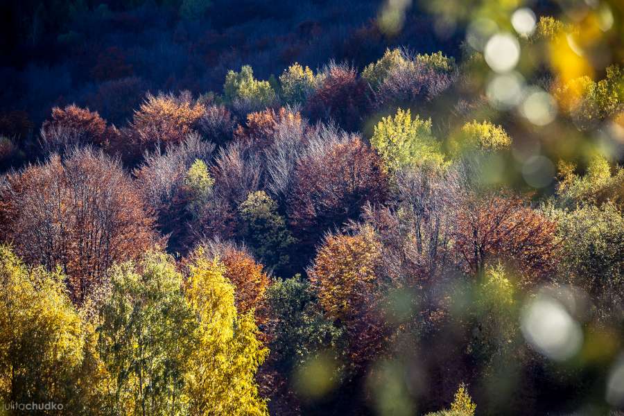 Bieszczady