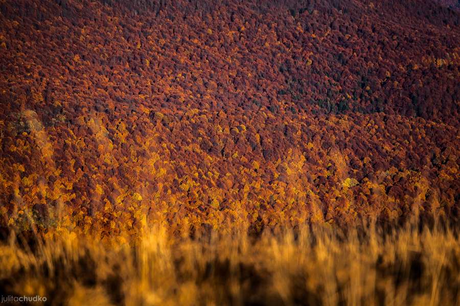 Bieszczady