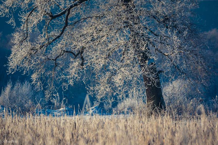 Bieszczady