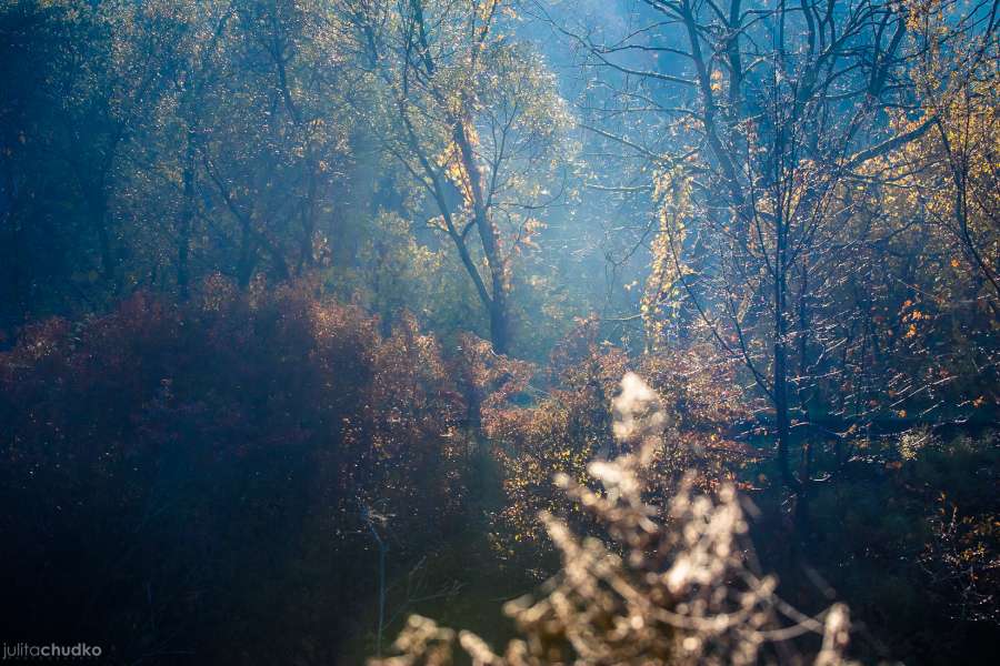 Bieszczady