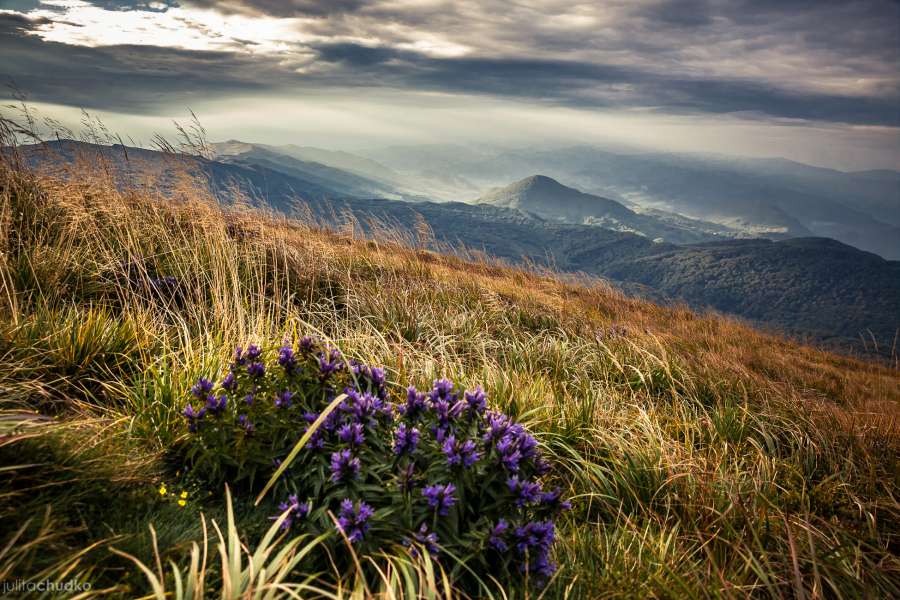 Bieszczady