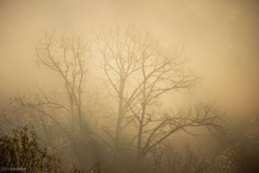 Bieszczady