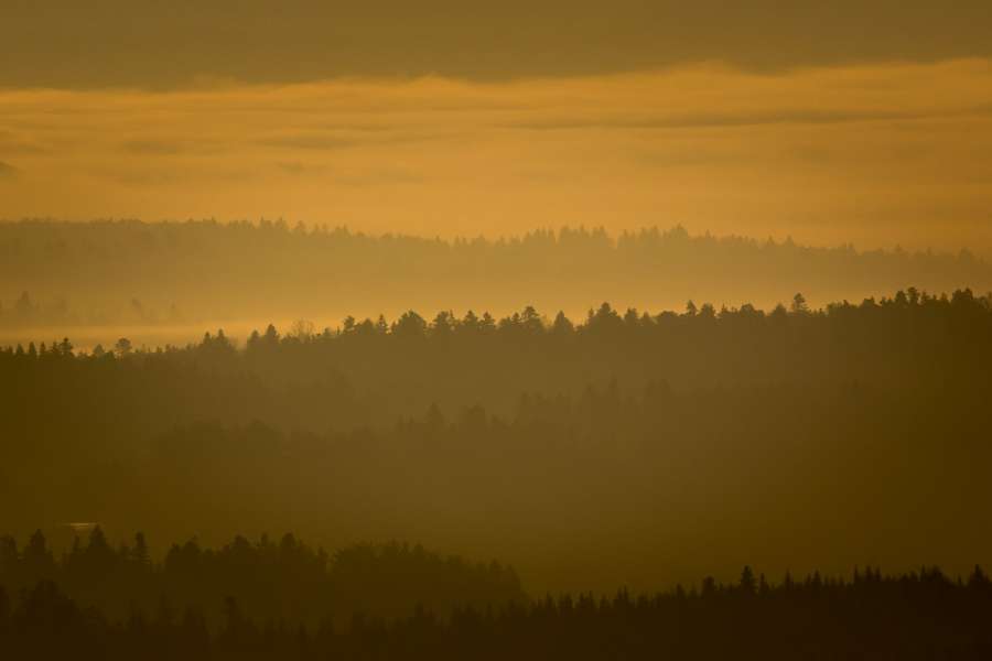 Bieszczady