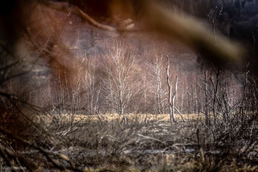 Bieszczady