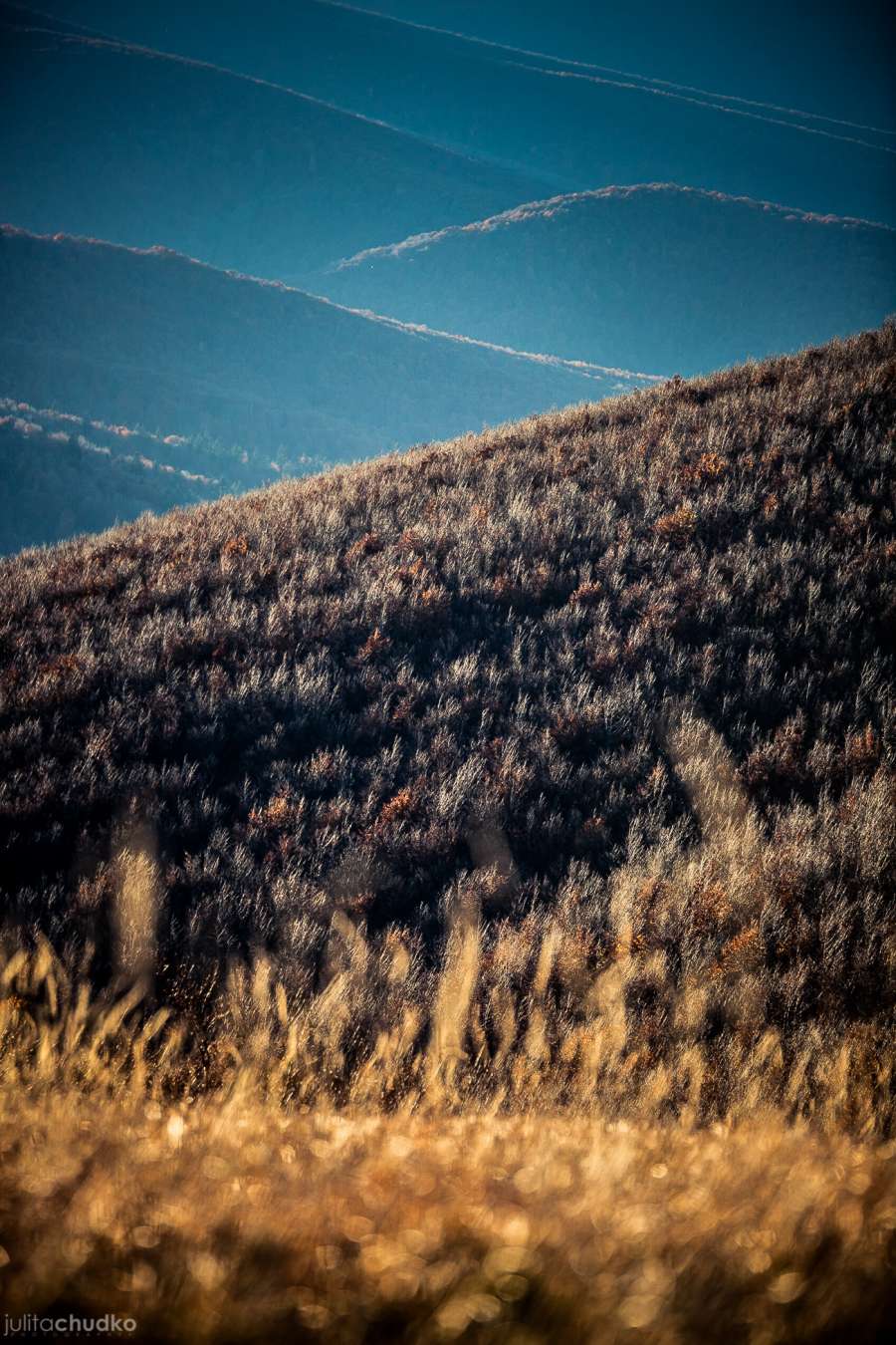 Bieszczady