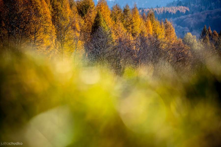 Bieszczady