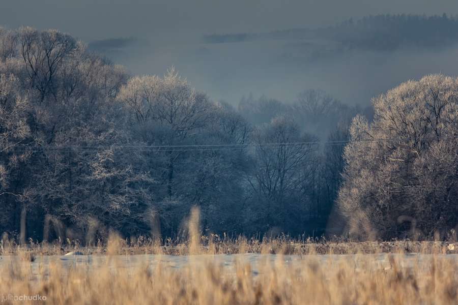 Bieszczady