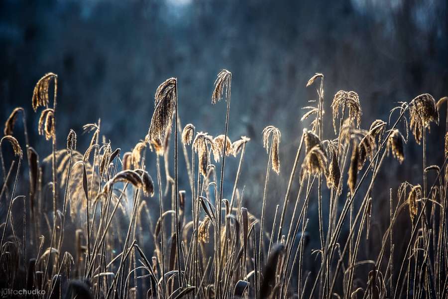 Bieszczady