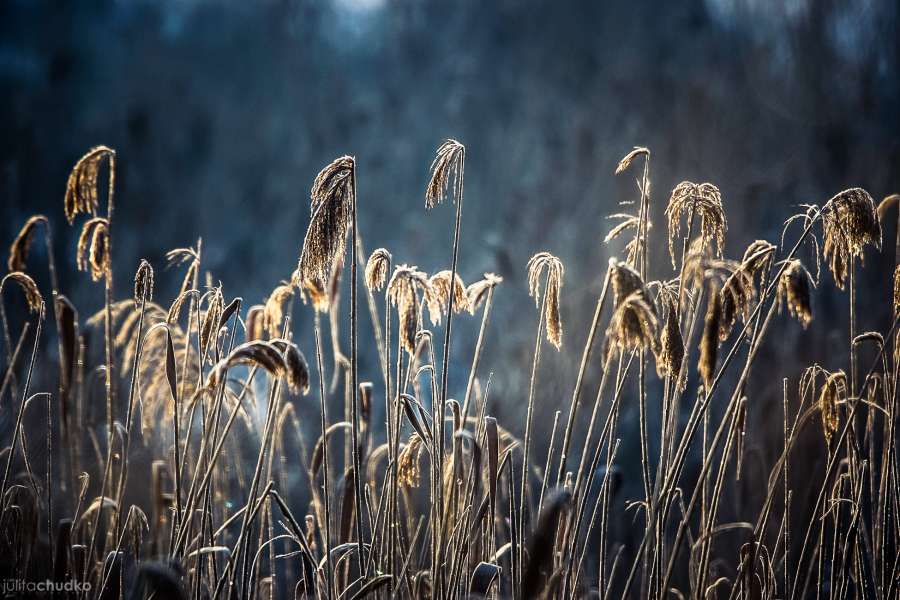 Bieszczady