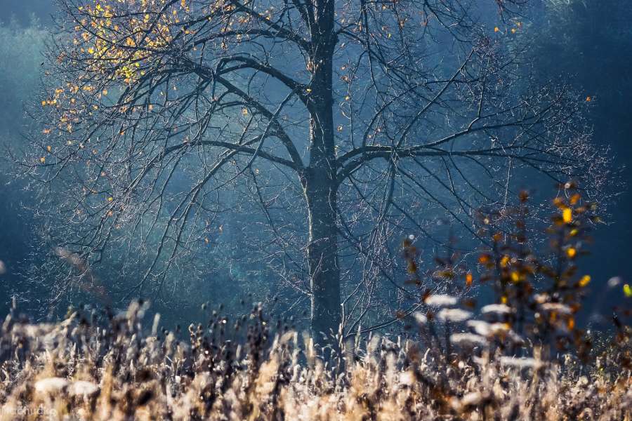 Bieszczady