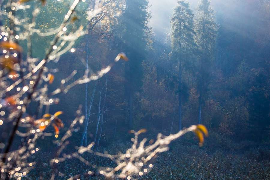 Bieszczady