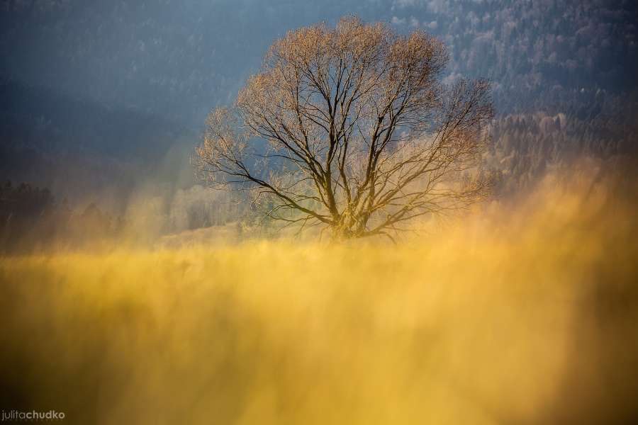 Bieszczady