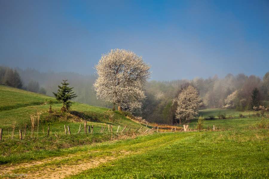 Bieszczady