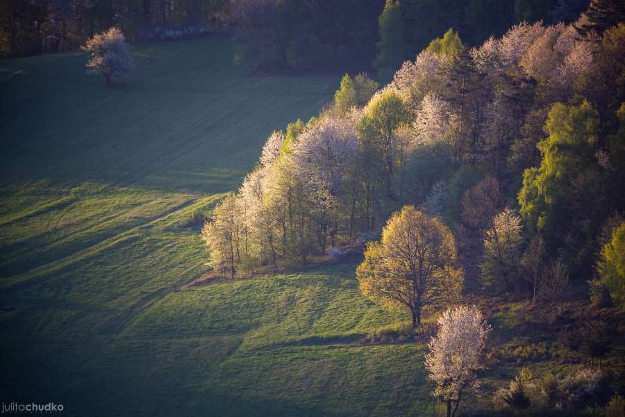 Bieszczady