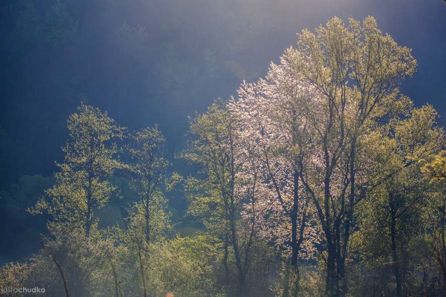 Bieszczady