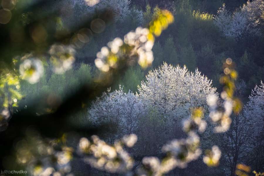 Bieszczady