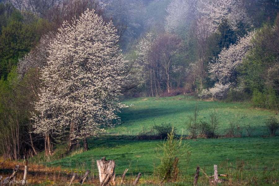 Bieszczady