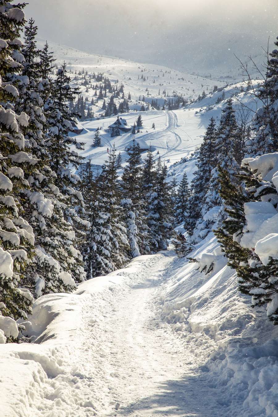 Tatry