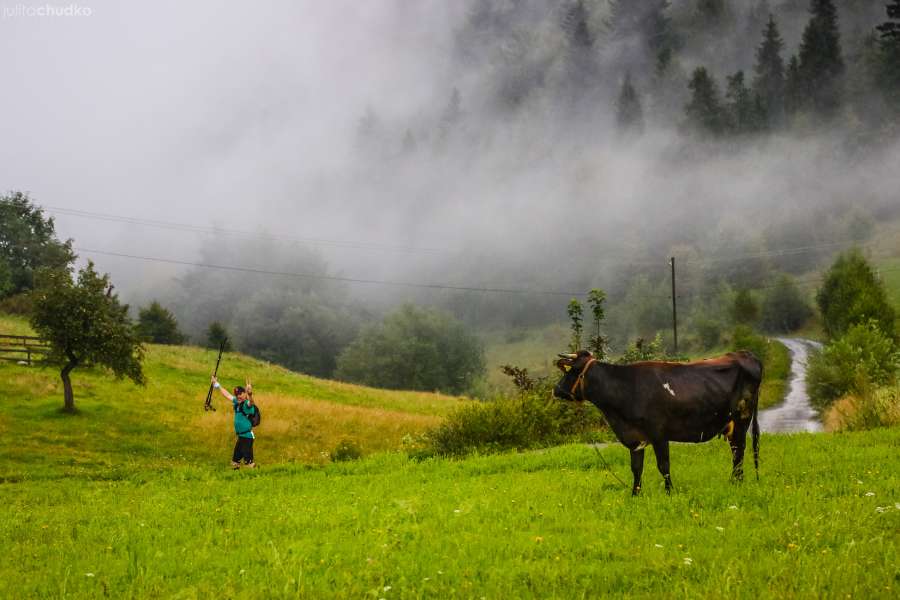 Fotografia biegowa