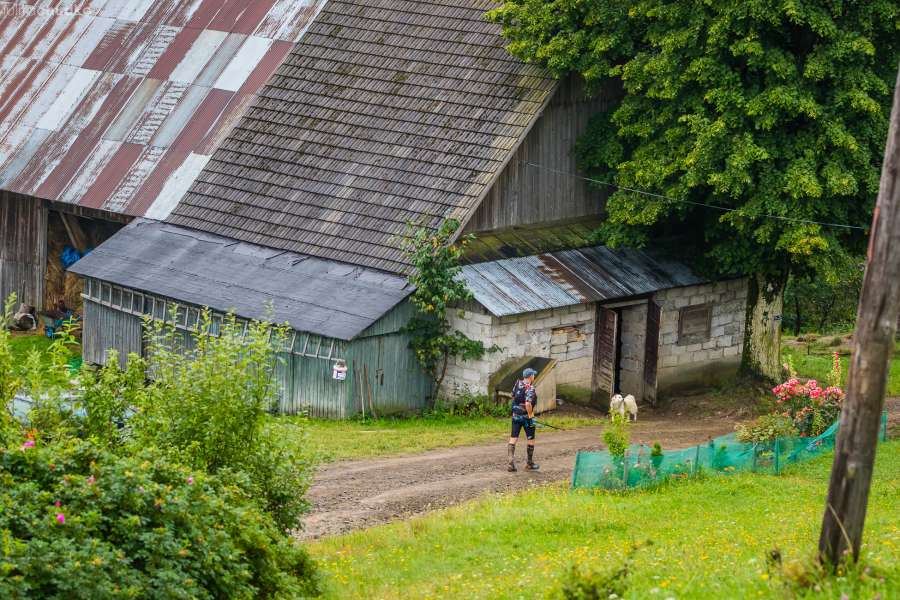 Fotografia biegowa