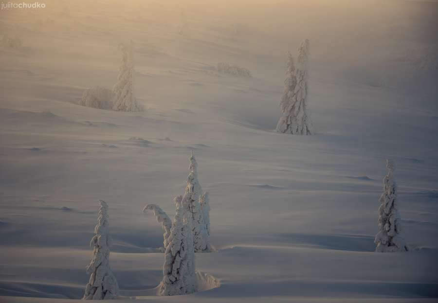 Tatry