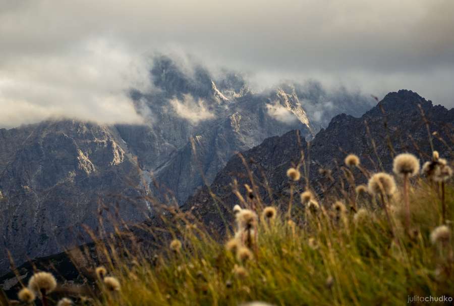 Tatry