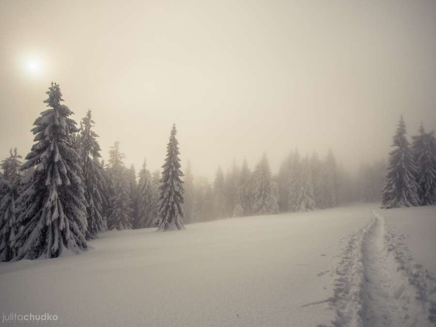 gorce, fotograf zakopane 