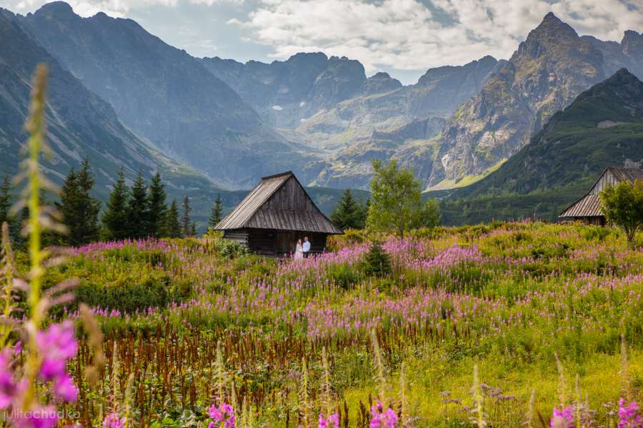 Plener ślubny, zakopane, tatry, hala gasienicowa, wierzbówka 